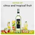 thumbnail image 3 of Ecco Domani Italian Pinot Grigio Wine, 750 ml, 3 of 7