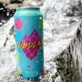 thumbnail image 5 of Orono Tubular IPA Ale Beer, 16 fl. oz. can, 4 pk., 5 of 8