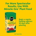 thumbnail image 10 of Miracle-Gro Garden Soil All Purpose Bulk Pallet, For In-Ground Use, 60 cu. ft, 10 of 10
