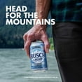 thumbnail image 4 of Busch Light Lager Beer, 12 fl. oz. can, 36 pk., 4 of 8