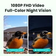 thumbnail image 11 of Birdfy Smart Metal Bird Feeder with Built-in Solar Panel and AI Camera, 11 of 12