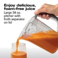 thumbnail image 6 of Hamilton Beach Professional Super Chute Easy Clean Juice Extractor, 6 of 9