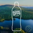 thumbnail image 3 of Poland Spring 100% Natural Spring Water, 700 ml., 24 pk., 3 of 13