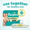 thumbnail image 10 of Pampers Swaddlers Ultra Diapers, Sizes Newborn-8, 10 of 13