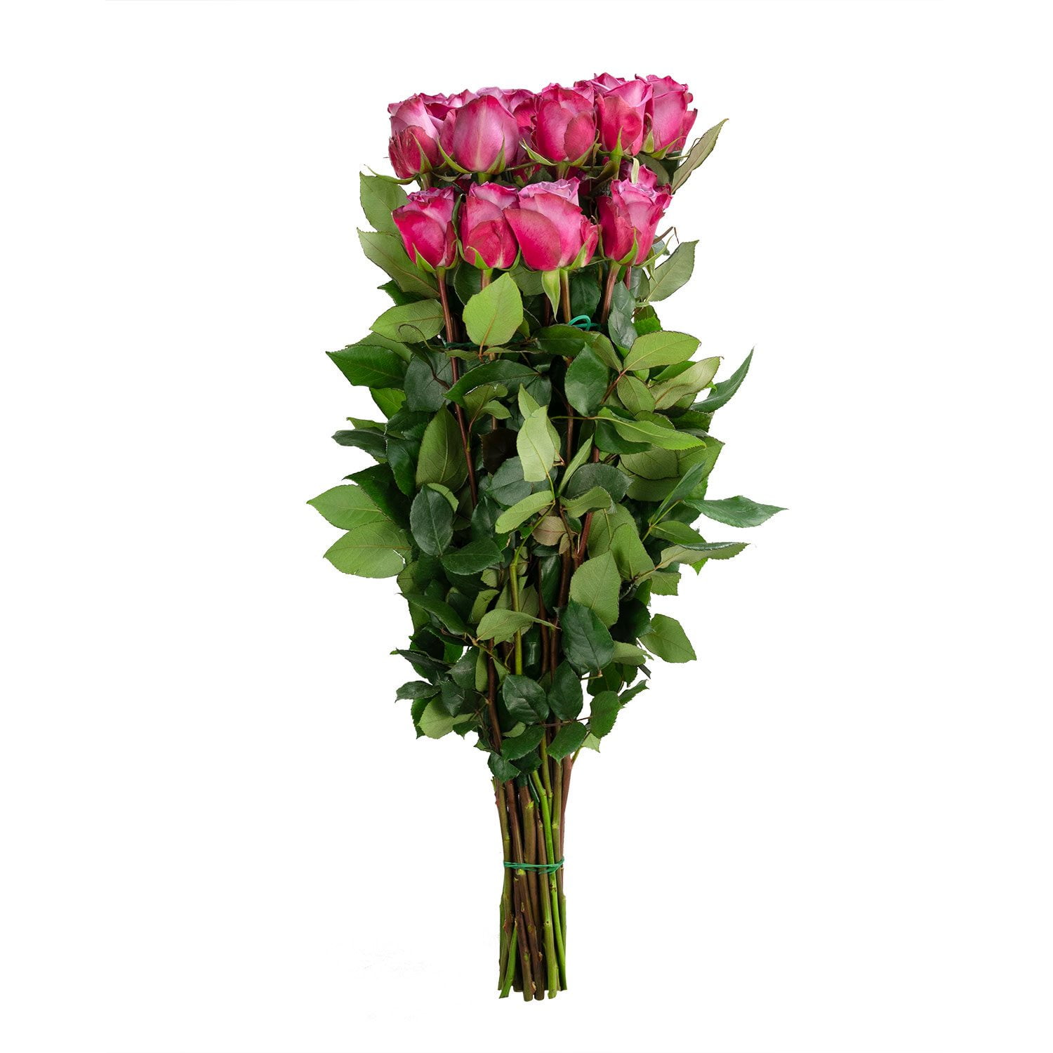 Member's Mark Ecuadorian Premium Roses - Thumbnail 2
