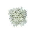 thumbnail image 2 of Member's Mark, Million Star Half Bunch, 2 of 4