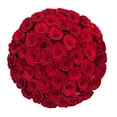 thumbnail image 1 of Member's Mark Ecuadorian Premium Roses, choose color variety and stem count, 1 of 6