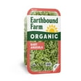 thumbnail image 1 of Earthbound Farm Organic Baby Arugula, 10 oz., 1 of 5