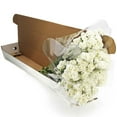 thumbnail image 4 of Member's Mark Mini Carnations, Choose color and stem count, 4 of 6
