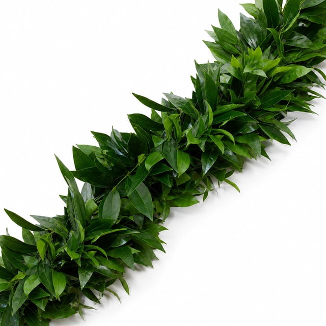 Member's Mark Garland, Cocculus & Italian Ruscus, Choose length