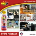 thumbnail image 2 of Fire Gone 16 oz Fire Extinguishing Spray-2 pack, 2 of 7