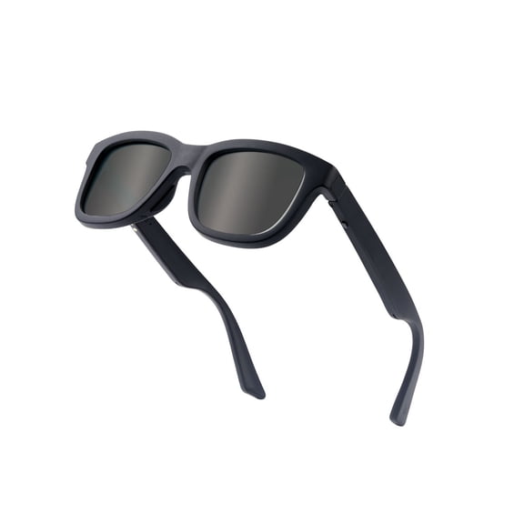Chamelo Dusk Classic (Matte Black Frame / Smoke Lens)