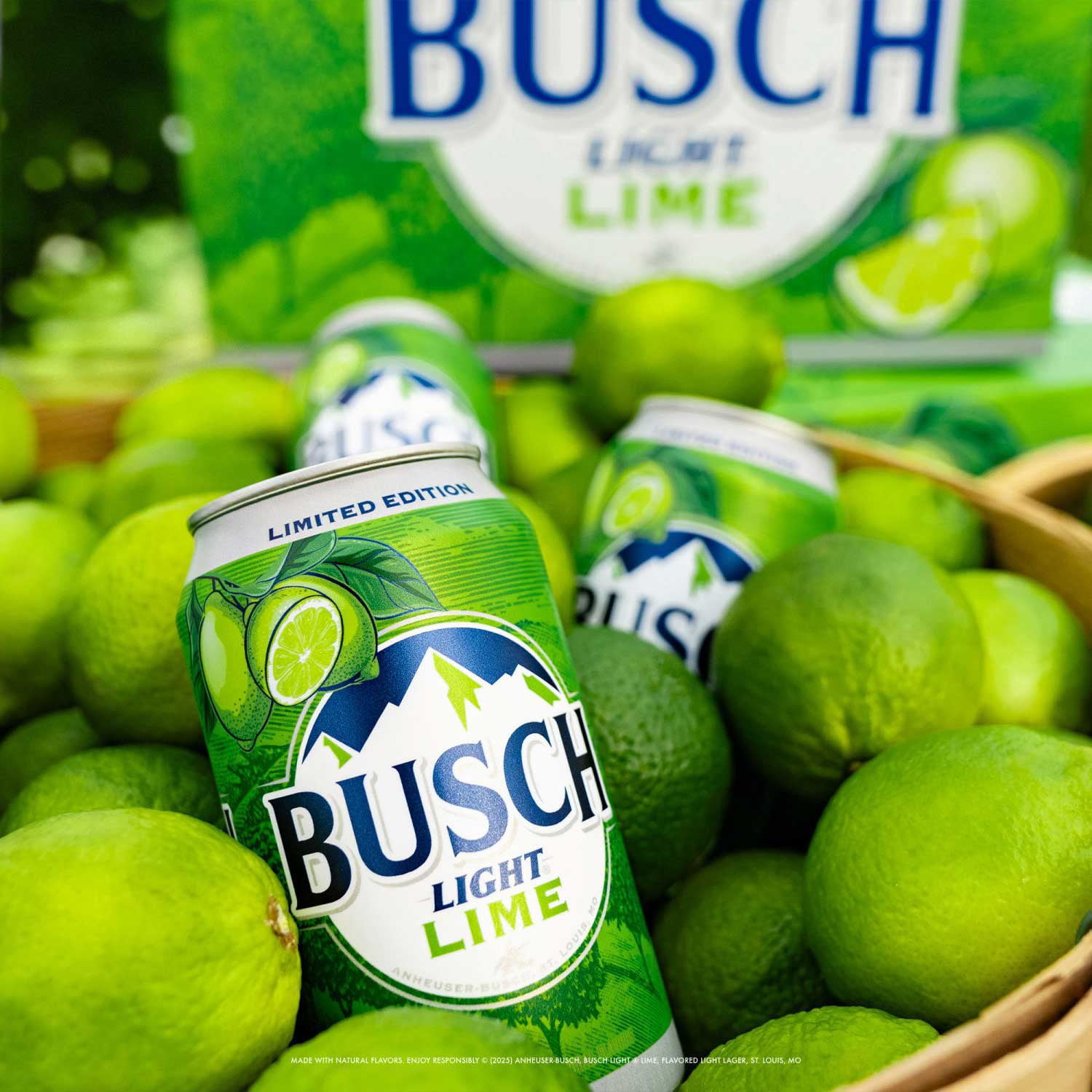Busch Light Lime Lager Beer, 12 fl. oz. can, 30 pk. - Samsclub.com