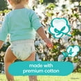 thumbnail image 3 of Pampers Pure Protection Diapers, Sizes 1-6, 3 of 9