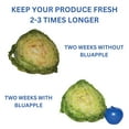 thumbnail image 4 of Bluapple Carbon Produce Saver Combo Pack, 2 ct., 4 of 6
