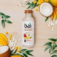 thumbnail image 3 of Bai Cocofusions Variety Pack, Antioxidant Infused Beverage 18 fl. oz., 15 pk., 3 of 9