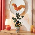 thumbnail image 3 of 5" Salmon Orchid and Pothos in Rifle Tin with Te Amo Mama Pick, 3 of 5
