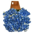 thumbnail image 3 of Member's Mark Illusion Roses, 96 stems, Choose color variety, 3 of 7