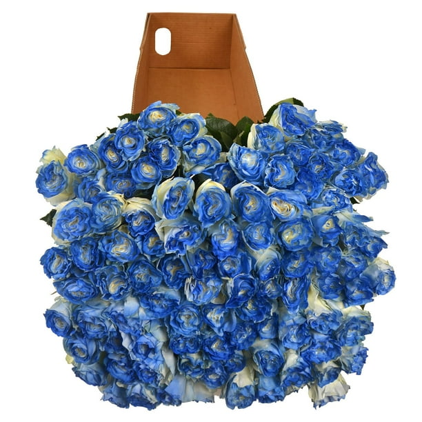 Member's Mark Illusion Roses, 96 stems, Choose color variety