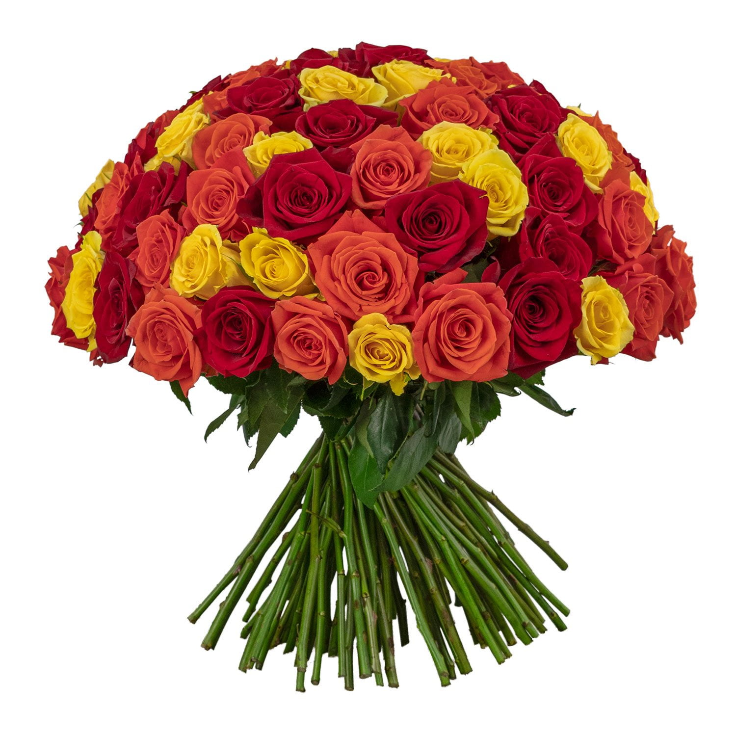 Member's Mark Rose Vase Arrangement, 100 stems, choose color