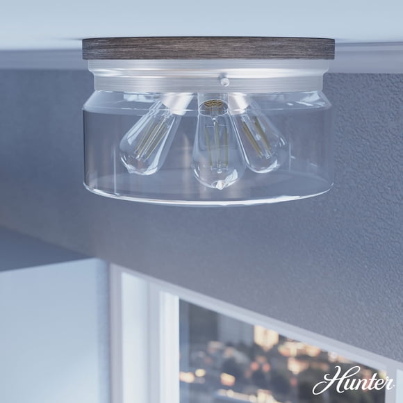 Hunter Devon Park Clear Glass 3 Light Flush Mount Ceiling Light Fixture