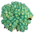 thumbnail image 6 of Member's Mark Illusion Roses, 96 stems, Choose color variety, 6 of 7
