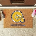 thumbnail image 2 of Logo Brands Albany State Golden Rams Doormat, 2 of 5