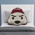 thumbnail image 2 of Logo Brands Southern Illinois Salukis Puff Pillow, 2 of 5