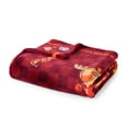 thumbnail image 3 of Licensed FIFA World Cup Silk Touch Throw, 60" x 70", 3 of 5