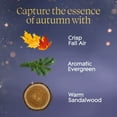 thumbnail image 5 of Glade Automatic Spray Air Freshener, Fall Variety, 1 Device + 3 Refills, 5 of 9