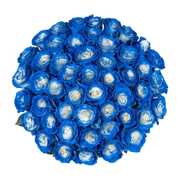 Member's Mark Illusion Roses, choose color and stem count:- 50, Blue