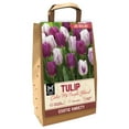 thumbnail image 1 of Member's Mark Tulip Color Me Purple Dormant Bulbs, 32pk, 1 of 9
