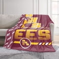 thumbnail image 2 of Logo Brands Brookville High School 60"x70" Super Plush Blanket, 2 of 7