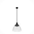 thumbnail image 8 of Hunter Cypress Grove with Clear Holophane Glass 1 Light Pendant Ceiling Light Fixture, 8 of 8