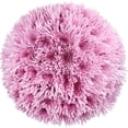 thumbnail image 1 of Member's Mark Spider Mums, choose color and stem count, 1 of 7