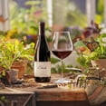 thumbnail image 8 of Etude Carneros Pinot Noir, 750 ml, 8 of 8