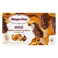 thumbnail image 6 of Haagen-Dazs Salted Caramel Graham Mini Ice Cream Bars, 20 ct., 6 of 6