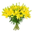 thumbnail image 2 of Member's Mark LA Hybrid Lilies, choose color and stem count, 2 of 8