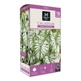 thumbnail image 1 of Member's Mark White Christmas Caladium Dormant Bulbs, 18pk, 1 of 9