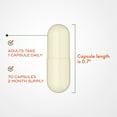 thumbnail image 3 of Align Probiotic Digestive Support Advanced Capsules, 70 ct., 3 of 6