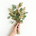 thumbnail image 4 of Member's Mark Seeded Eucalyptus Greenery, 40 stems, 4 of 4