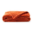 thumbnail image 2 of Member's Mark Oversized Tufted Throw Blanket, 2 of 5