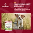 thumbnail image 5 of NaturVet, Cranberry Relief Plus Echinacea Soft Chews for Dogs, 120 ct., 5 of 9