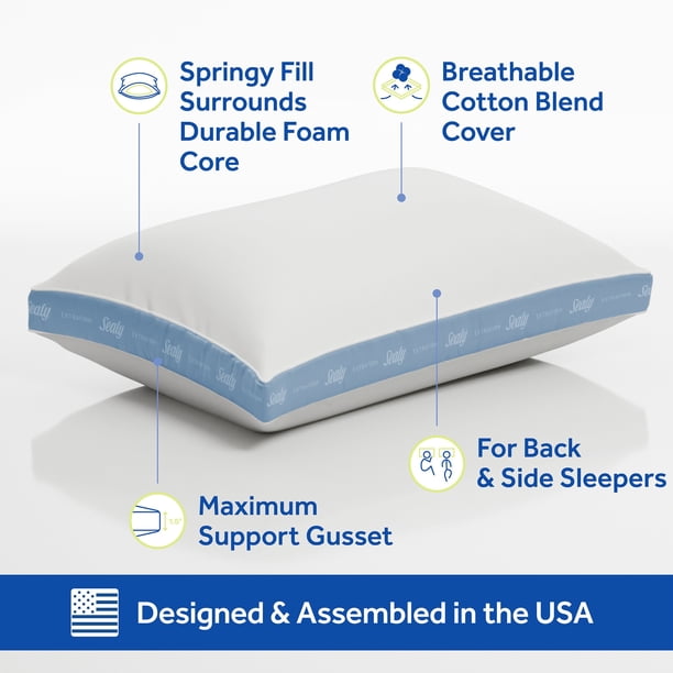 Sealy Dreamlife 2-Pack Extra Firm Support Foam Core Pillow