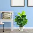 thumbnail image 3 of Faux 34" Split Leaf Philodendron in Ribbed Ceramic Planter, 3 of 5
