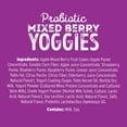 thumbnail image 3 of Nature's Garden Probiotic Halloween Yoggies, Variety Pack, 0.7 oz., 24 pk., 3 of 7