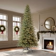 thumbnail image 2 of Member's Mark 12' Slim Linden Fir Pre-Lit Christmas Tree, 2 of 9