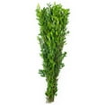 thumbnail image 10 of Member's Mark California Greens Sampler (10 bunches), 10 of 12
