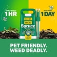thumbnail image 6 of Spruce Weed & Grass Killer Kit, 1 Power Spray Starter Kit and 1 Refill, 64oz x 64oz, 6 of 10