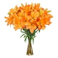 thumbnail image 2 of Member's Mark LA Hybrid Lilies, choose color and stem count, 2 of 7